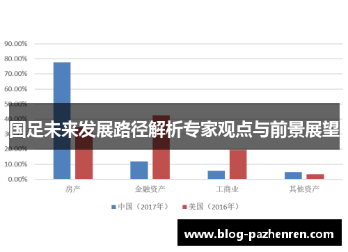 国足未来发展路径解析专家观点与前景展望