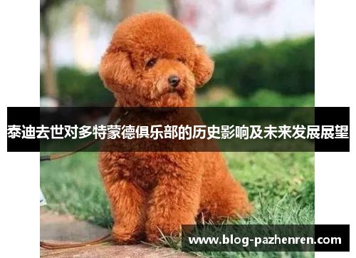 泰迪去世对多特蒙德俱乐部的历史影响及未来发展展望 泰迪去世对多特蒙德俱乐部的历史影响及未来发展展望