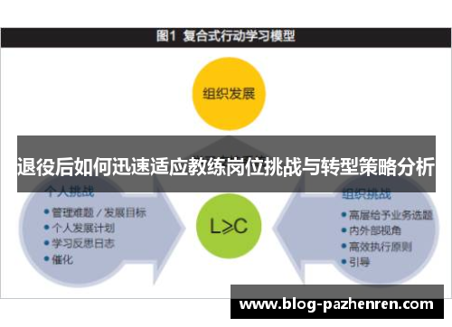 退役后如何迅速适应教练岗位挑战与转型策略分析