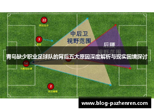 青岛缺少职业足球队的背后五大原因深度解析与现实困境探讨